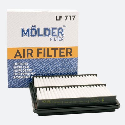 Повітряний фільтр MOLDER аналог WA6250/LX827/C2229 (LF717) LF717 фото